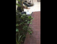 girl in jacket pushes girl into bushes