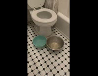 Water comes out of restroom light