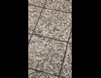 Guy walks red motorcycle down stairs subway 