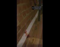 Blood dripping down onto furniture from apartment above