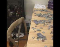 Black white kitten cat jigsaw puzzle table 