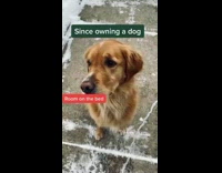 Girl lists what she lost since dog