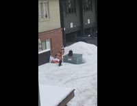 Woman beanie black underwear snow grey box