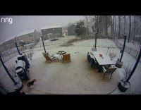 Man carries dog slipped on icy backyard