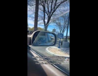 Collab Clips MPUGC - Woman helps lady bug then car breaks down