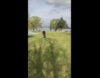 Guy rides dirt bike across grass field then slips and falls 
