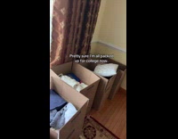 Collab ClipsIG - Dog sit in packed box for college