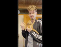 Guy says small orange cat requires to be held