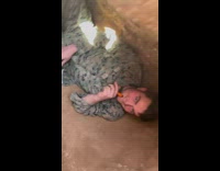 Collab BitchMP - Army guys sitting inside of holes that they dug in their base camp tent