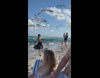 Women tosses bread to feed the seagulls at the beach