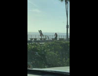 Woman white crop top surfboard photo shoot bench
