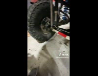 Collab BitchMP - Black dog helping owner with head lamp