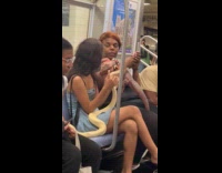 Women with their reptile pets on subway