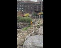 Guy striped yellow coat stand on rocks