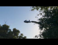 Woodpecker pecks lamppost while airplane flies by