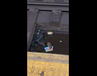 Rat in subway railways eat little bites muffin