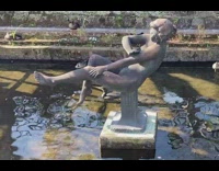 Great Cormorant swims and poops on the water