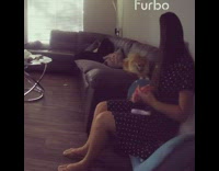 Pomeranian runs around couch 
