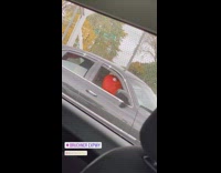 Red elmo costume person sits black car