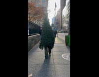 Christmas tree person walks around the street