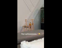 Collab ClipsIG - Bird dances to the song Hay Lupita