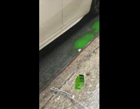 Green sewage water slime drains on street next to white car