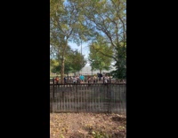 Group of women choreographed dance at park