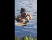 Collab DogIG - Guy rub dog belly float in water