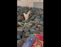 Guy on bike rides up a ramp into a foam pit and scorpions