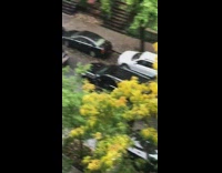 Collab WINY - Woman yells at guy in argument over parking spot on the street