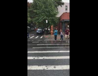 Two inflatable dinosaur costumes cross street SUV 