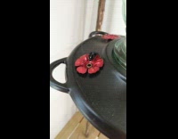 Collab DailyDoseOfInternet - Black spider on bird feeder drink nectar