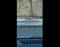 Guy moves striped white pole around park 