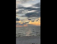 Amazing sight of clouds shaped like dolphin