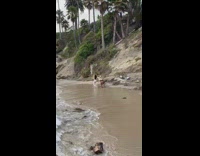 White net skirt bikini girl beach shore 