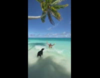 woman on beach in water poses black dog