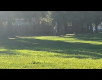 Collab IITW - Guy striped scarf spin toy sword grass