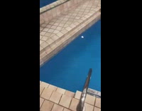 Collab BitchMP - Girl shows off pool falls