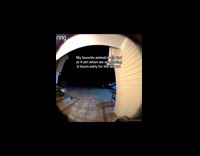 Dad yelling to get in car