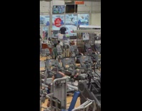 Dog walks on treadmill at the gym