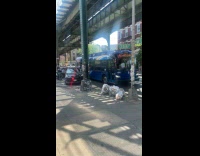 Collab WINY - Man on top of Bus end side Demands to Talk with Police Part 1