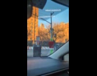 The Grinch spotted walks around in Brooklyn