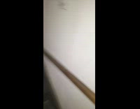 Guy place hand near large spider wall