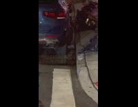 Rats climb in and out of grate under car