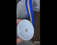 Collab BitchMP - Chihuahua food angry kibble attack