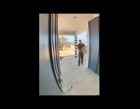 Delivery guy scared of cane corso puppy 