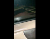 Stray dog in middle of street guy tells it go home 