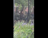 Collab WINY - Pigeons hangs around the woman at park