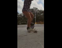 Man do skateboard tricks on tree branch