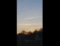 Black birds fly single file line trail 